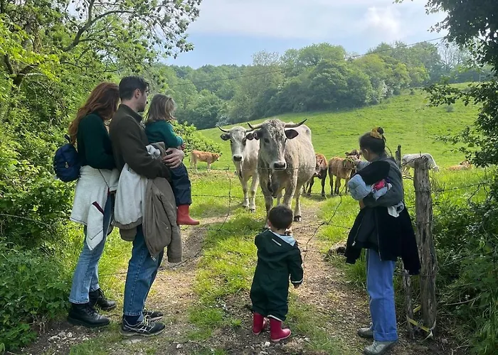 La Maison Du Cotil Le Renouard